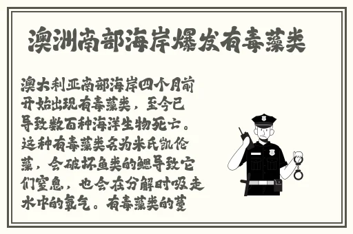 房奴试爱视频播放